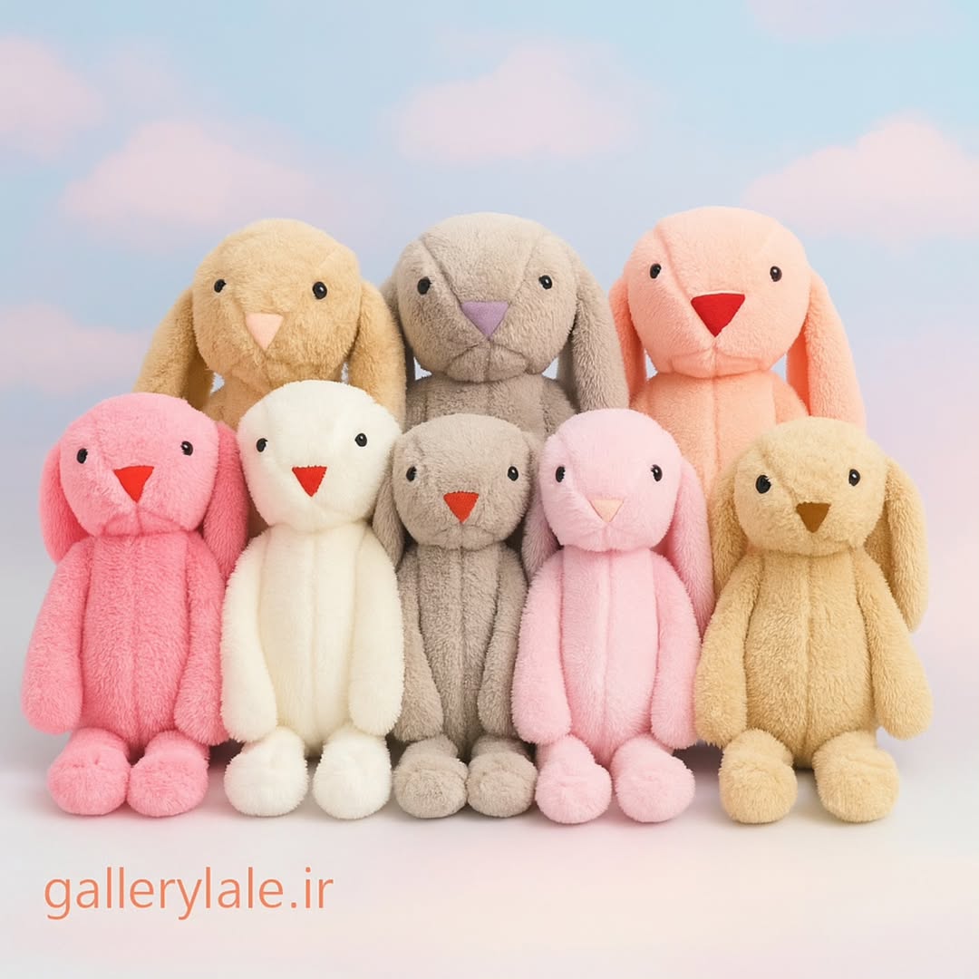 جیلی کت سایز دو